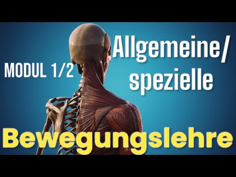 ANATOMIE. MODUL 1/2 ALLGEMEINE/ SPEZIELLE BEWEGUNGSLEHRE