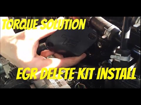 Torque Solution EGR delete kit 2016 Subaru WRX
