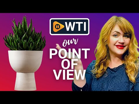 LUXEPORCH Plant Pots - WTI product video review