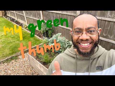 My Green Thumb | Home and Garden #uk #plants #garden