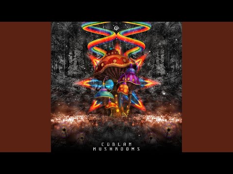 Mushrooms (Original Mix)