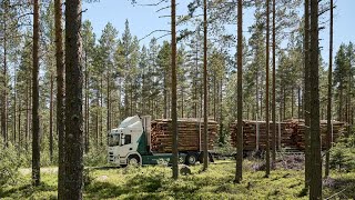 Download lagu The world's first electric timber truck in action mp3