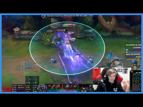 Nemesis Perspective vs Thebausffs