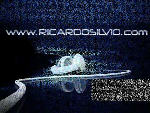 Tim Berg - Bromance is my friend (Ricardo Silvio mash it up!)