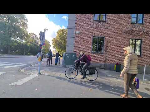 Davidshallstorg 🇸🇪 Malmö Opera and Triangeln