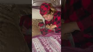 可愛い猫ちゃんの動画集 part 6 #猫 #猫動画 #猫動画 #cat