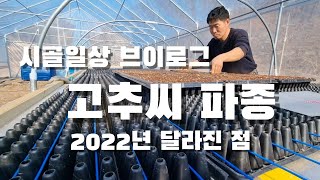 [시골일상 브이로그] 고추씨 파종. 벤치형 육묘상 어떨지 궁금