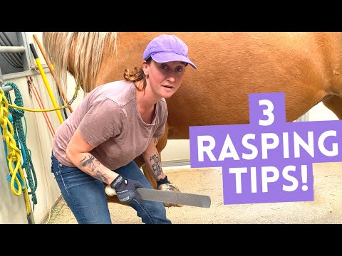 Hoof Trimming TIPS for horses | How to use a RASP