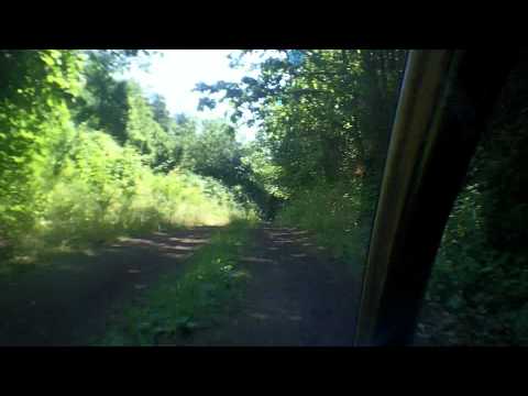 mtb, 48km, rist. foresta-nemi -lariano-artemisio-iacchelli-kamikaze-foresta