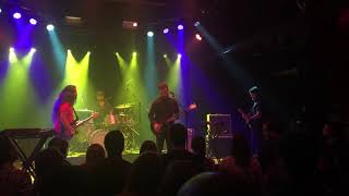 Rogue Wave Live - Bird on a Wire