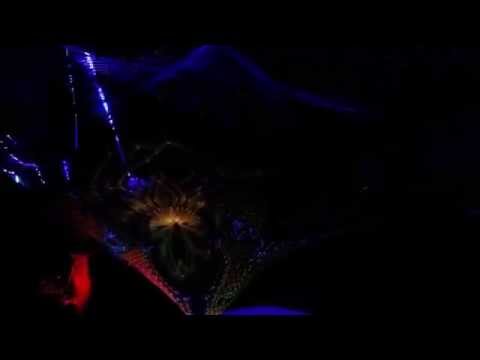 Already Maged live @ ☯Mindgamers: Shadow of the Dark Shaman - Nynäshamn Sweden 2014 30th Aug