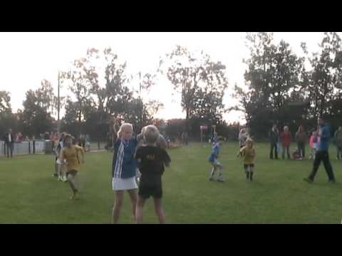 AVANTI D4 - DIE HAGHE D3