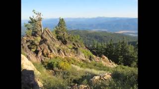 Psalm 116 - by Sons of Korah (w/ lyrics)