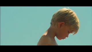 claude françois : VIVRE DE SOLEIL du 30 cm : fleur sauvage  RARE