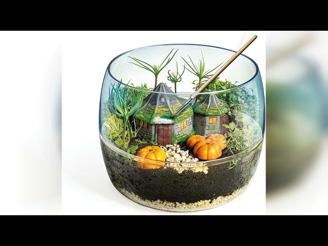 Vídeo relacionado con Clementoni - Terrarium Harry Potter - Juego Educativo a Partir de 7 años - Laboratorio de Ciencias, Cabaña de Hagrid - CREA Ecosistema en Miniatura y Aprende de Plantas, 19248