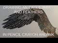 Drawing an Eagle Wing and Feathers in Pencil Crayon and Ink
