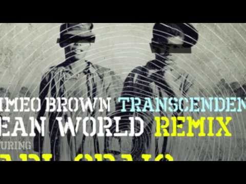 'Mean World' Remix Feat. Carl Craig & Q-Tip