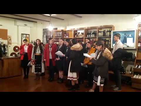 COLINDĂTORII LICEULUI TEORETIC RECAȘ - Repetiție  - 13 DECEMBRIE 2019