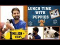 Lunch Time With Shi-Tzu Puppies | MaKaPa