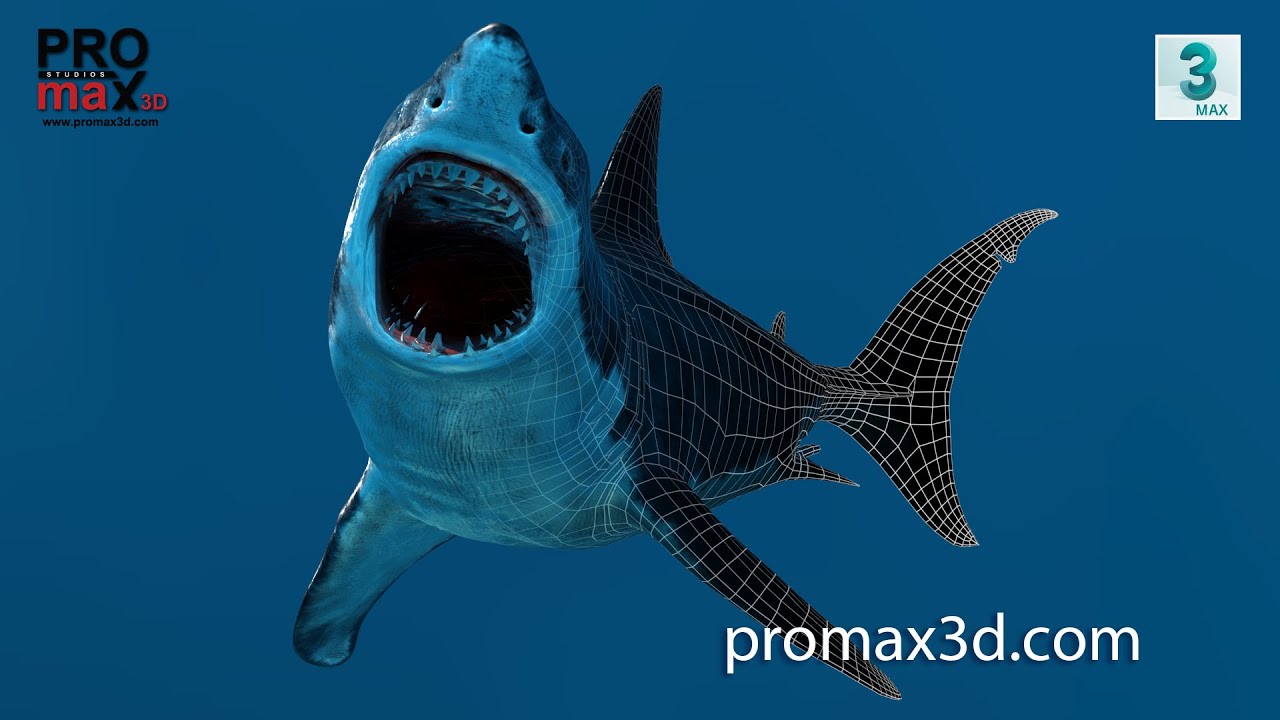 Rigged Great White Shark 3D Model
