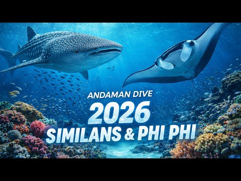 Diving on Richelieu Rock And Phi Phi | Thailand Diving 2026