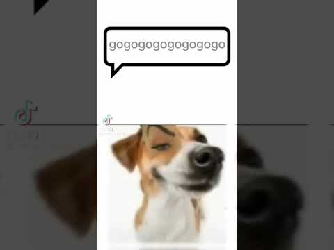 gogogogo meme #shorts