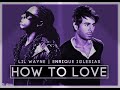 LIL WAYNE Feat Enrique Iglesias How To Love Como Amar Spanglish Version