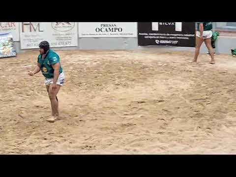 Liga Disa Gobierno de Canarias de Primera Categoría