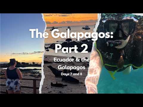 Galapagos Islands Part 2 | Snorkeling, Las Grietas & San Cristobal