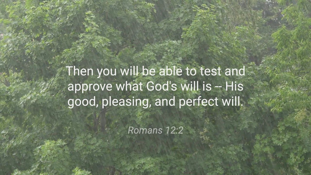 Romans 12:2 | NIV | Bible Verse (with Rain)