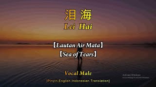 Download lagu Lei Hai【泪海】Male Version【Lautan Air Mata/Sea ​​of Tears】[Pinyin,English,Indonesian Translation] mp3