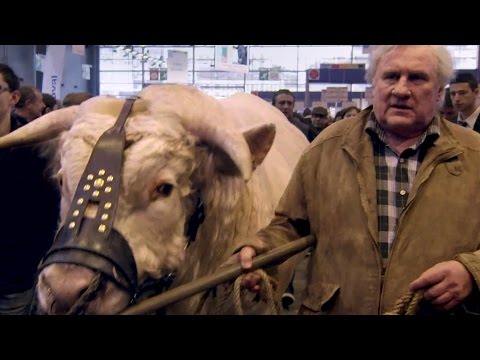 SAINT AMOUR Bande Annonce