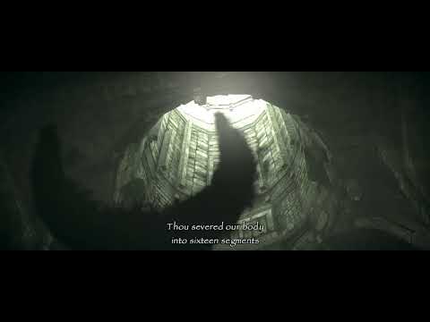 Shadow of the Colossus coin collecting.