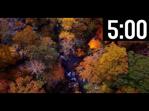 5 Minute Timer with Classical Music | Relaxing | Focus | Piano Instrumental