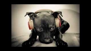 P.L. - In The Zone (HQ)