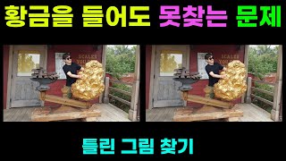 [다른그림찾기/틀린그림찾기] 황금을 들어도 못찾는 문제 85