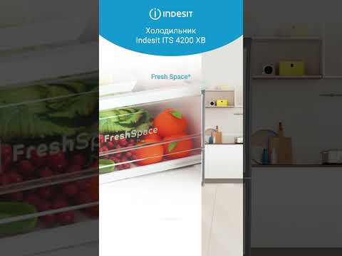 Холодильник Indesit ITS 4200 XB