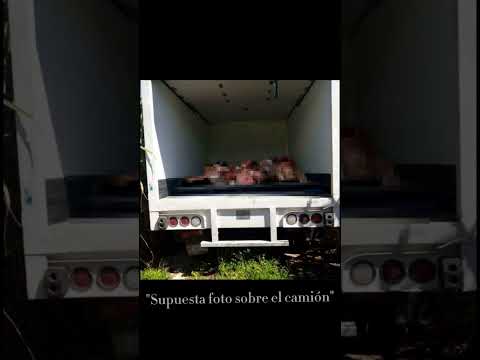 La mujer que vio algo aterrador dentro de un camión...