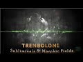 TRENBOLONE Subliminals Morphic Fields Massive Muscle Growth Vascularity Strength Fat Loss