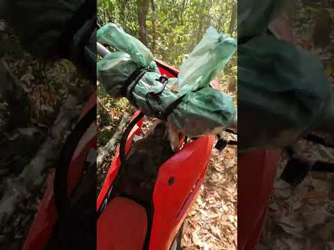 RESUMO TRILHA COM OS AMIGOS EM SÃO MIGUEL DO PASSA 4 - GOIÁS 🇧🇷