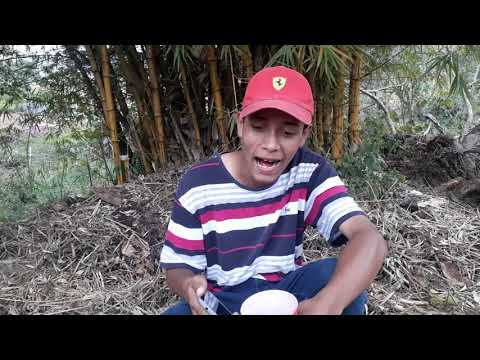 MC LUKINHAS SP - MEDLEY PESADONA 2019 (REVELAÇÃO DO FUNK )