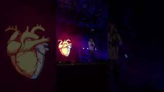 VITA-CARL BRAVE Concerto Live PARMA MUSIC PARK 30-08-2019