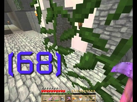 Pojďme Hrát Minecraft - Templayer-Fuzimi server - 68 - Fuzimandas Skočný {CZ}