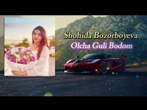 Olcha guli bodom (Remix music) #remix #djremix #longvideo 