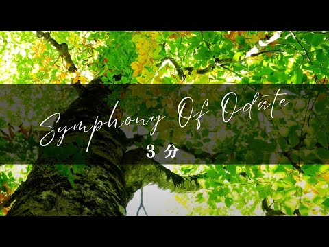 【大館市PR動画】Symphony Of Odate（3分40秒版）