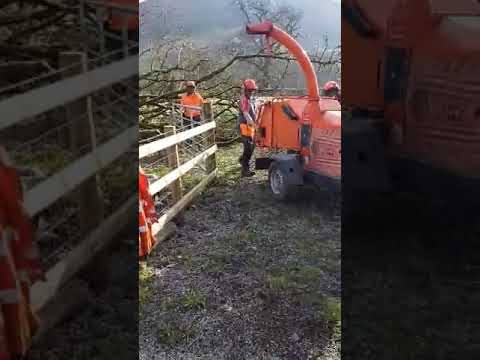 Tree Tech Arb & Forestry Services Ltd video.