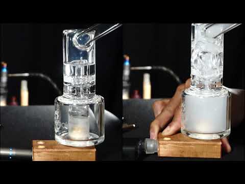 Fury and grassHopper