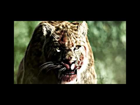 smilodon populator in real life