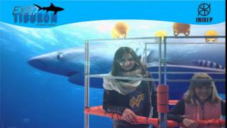 DIA 2 Expo Tiburon259