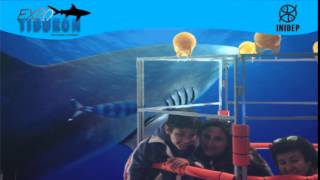 DIA 3 Expo Tiburon145